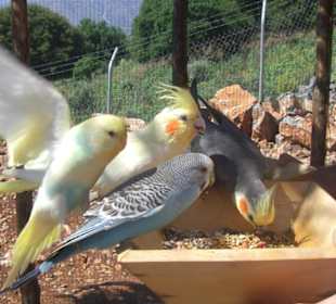 Gelände im Amazonas Park