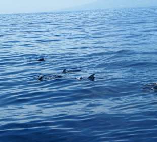 Widoki w trakcie rejsu