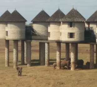 Overnight Salt Lake Lodge