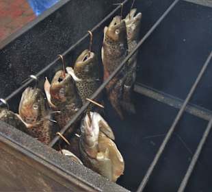 Räucherfisch aus dem Smoker beim Gänsemarkt
