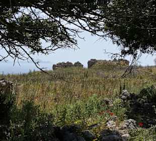 Ruinen der Festung