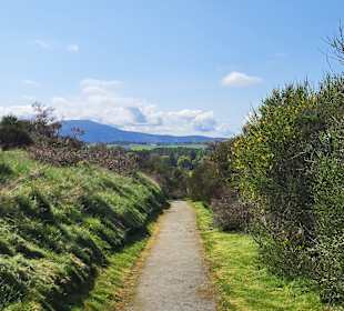 Ausflug nach Aberdeenshire