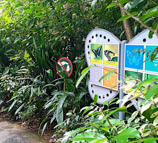 Singapur Zoo