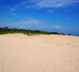 Freier Hundebereich kostenlos