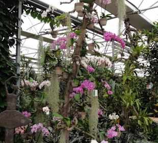 Raffeiner Orchideenwelt