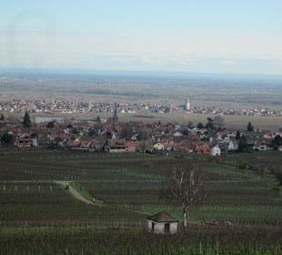 Blick vom Schloss Villa Ludwigshöhe