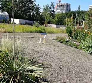 Botanischer Garten 