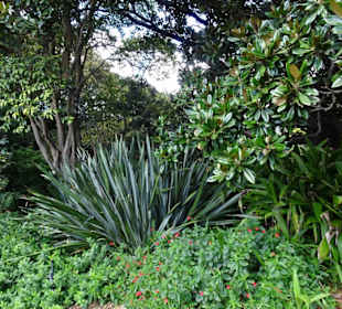 Stadtrundgang Sydney