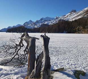 Silser See im Winter