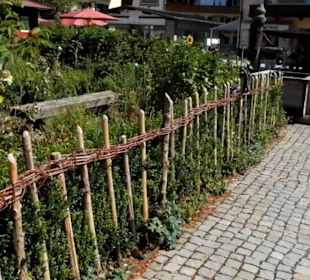 Bummel durch die Innenstadt