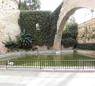 Im Garten des Palastes