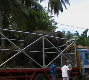 Einkaufen & Shopping