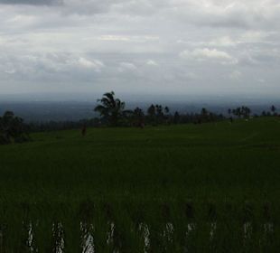 Impressionen aus Bali