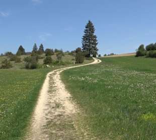 Premiumwanderweg Hochgehschätzt