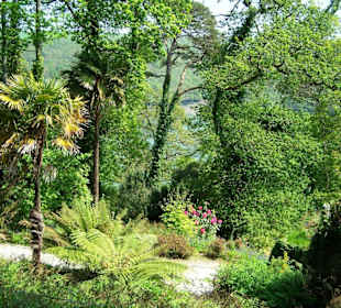 Trelissick Garden