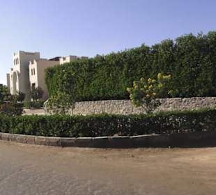 Stadtbesichtigung El Gouna