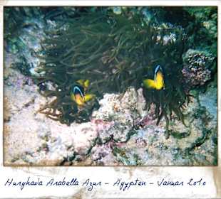 Ich beim Schnorcheln