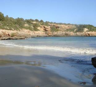 Cala Sa Nau (Strand)