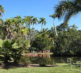 Sarasota Jungle Gardens