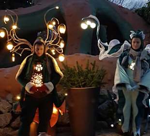 Wunderschön um Winter 