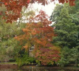 Herbstimpressionen am großen Weiher