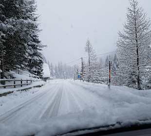 Sport Schiffer Ski- & Sportschule Innerkrems 