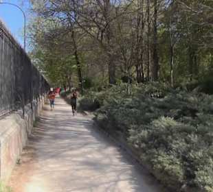 Plaza Parterre