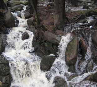 Bäche und Flüsse die am Brocken entspringen
