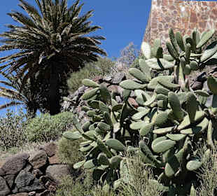 Teneriffa / Masca Schlucht