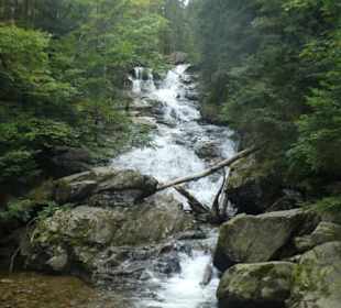 Wasserfall-Tour: bei den Rißlochwasserfällen