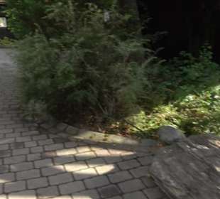 Erlebnispark Tripsdrill