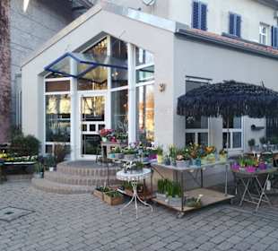 Aussenansicht Schulstrasse 37