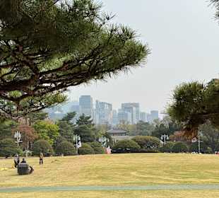 Cheongwadae