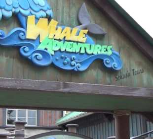 Themenbereich Island