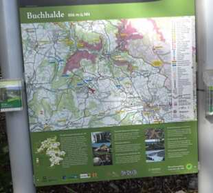 Wanderparkplatz Buchhalde Dottingen