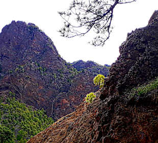 Traumhafte Landschaft