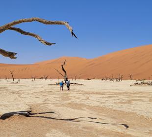 Dünen Sossusvlei