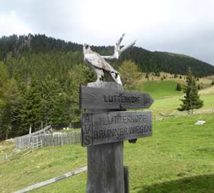 Taistner Alm