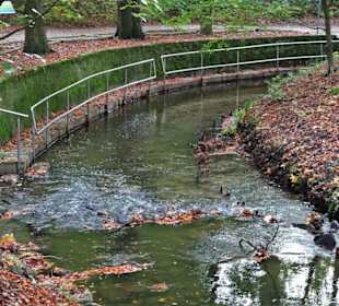 Die Wassertretstelle am Aabach im Stadtpark