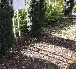 Kneipp`scher Sinnesgarten