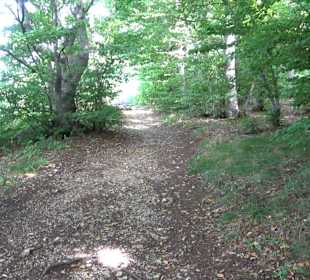 Tour entlang der Traifelbergfelsen