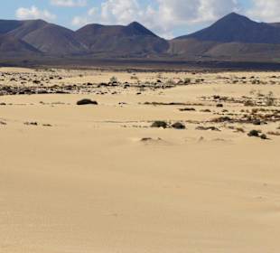 Impressionen aus der Dünenlandschaft