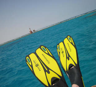 Kurz vorm Schnorcheln.