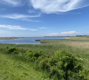 Wandern Fehmarn