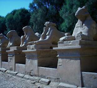 Spinx am Eingang zum Tempel