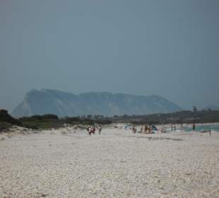 La Cinta mit Blick auf die Isola Tavolara