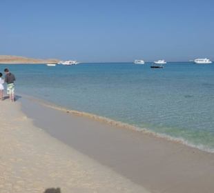 Mahmya - Trauminsel im Roten Meer (Giftuninsel) 