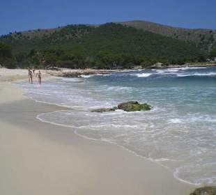 Echt es ist die Calla Agulla