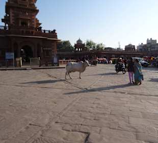 Auf dem Sadar Market