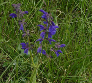 Eindruck vom Spaziergang Ostheimer Streifberg-Tour